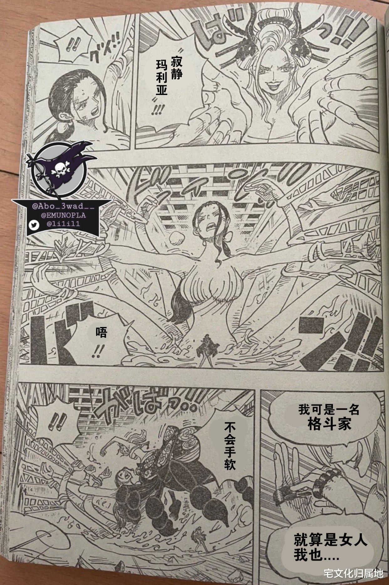 萨博|海贼王1021[个人汉化]罗宾展示恶魔花形态萨博在回忆中登场