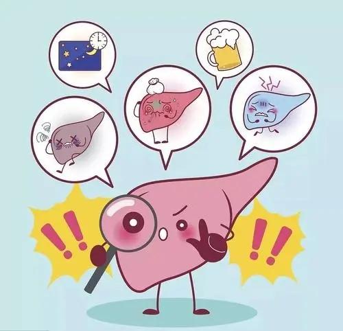 心脏|年龄越大，膝盖会越疼？中老年人不妨多吃4种食物，或能缓解