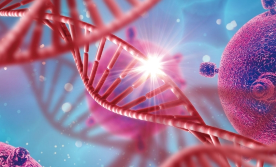 长寿老爷爷|更年期女性多补3种营养物质，或可养成“铁骨”，远离骨质疏松