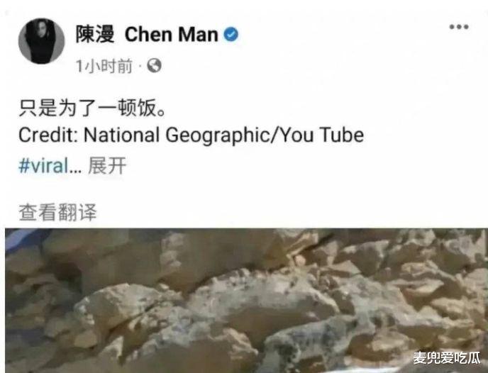 女孩|陈漫道歉被指敷衍？外网发言称为了一顿饭，评论区再次翻车