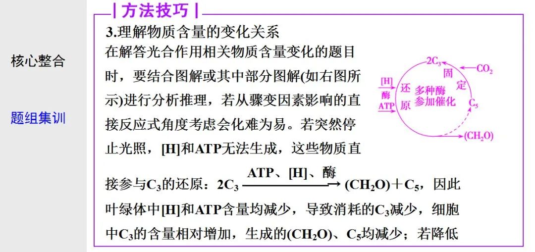 初中生物：光合作用与细胞呼吸知识点详解，快保存！