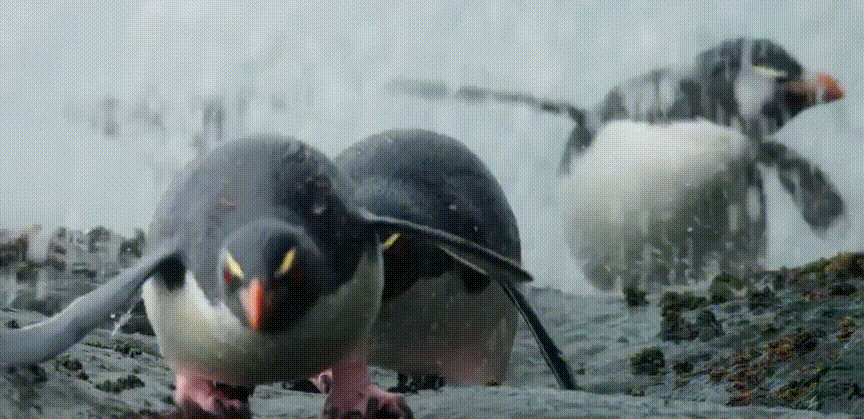 余男|开年第一部神作，狂野又震撼
