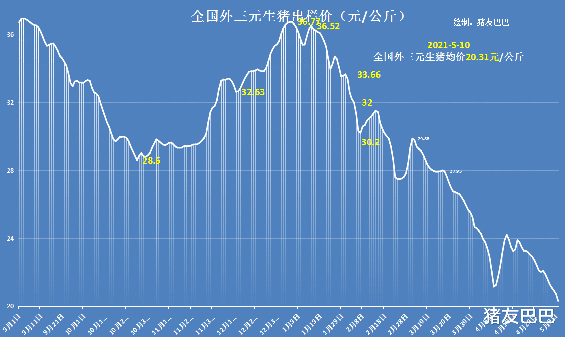生猪价格 5月10日猪价：20.31元/公斤！消费“压垮”猪价，行情跌势不减！