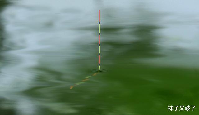 八爪鱼|不要担心水下的子线的状态。事实上，只有一种状态在很长一段时间后才是最实际的