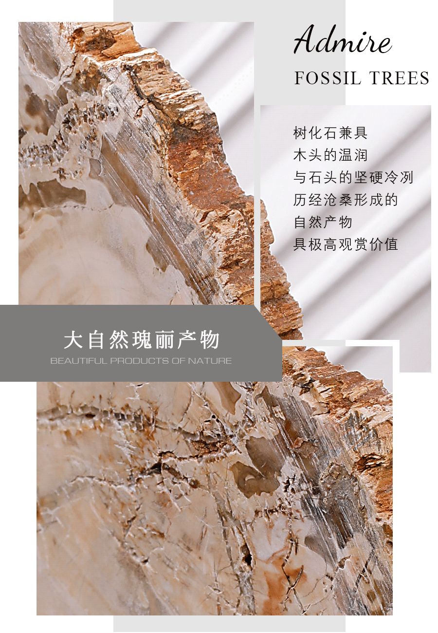 山居猎奇丨独家新品 轻奢格调 悦动空间