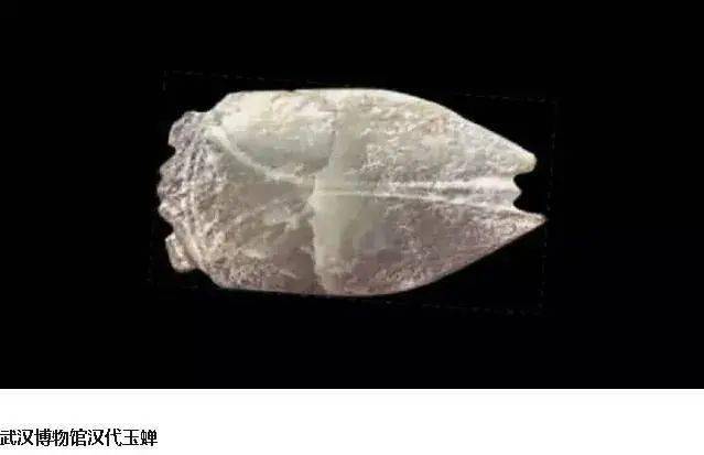 雕刻|浅论汉代玉蝉