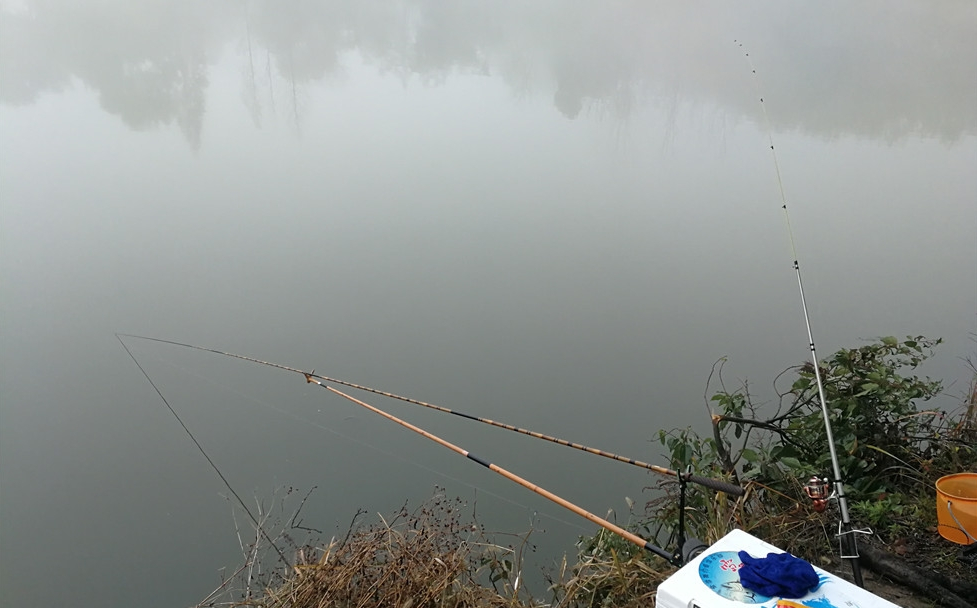 清明节|清明过后,垂钓技巧按这五个方法调整,渔获量肯定不会少,莫不信