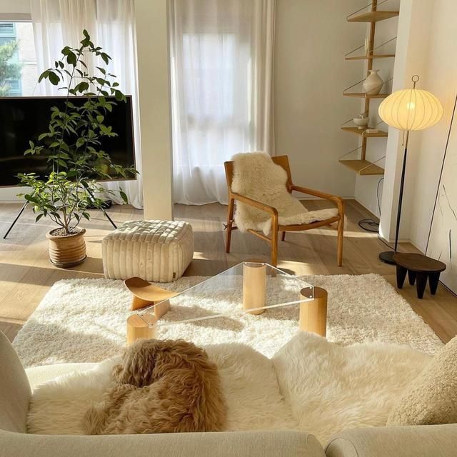 90后韩国女主晒独居生活照:悠闲精致,在她家看见岁月静好的模样