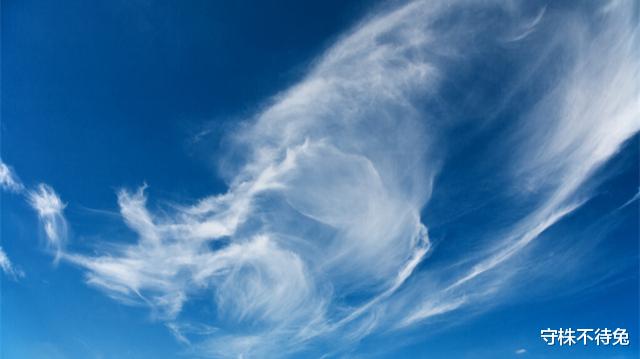 容易受到质疑,但经过验证真实存在的22个猎奇冷知识