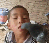 |“正常人长期禁欲是什么感受，无欲则刚有多刚？”哈哈哈哈哈哈好惨！