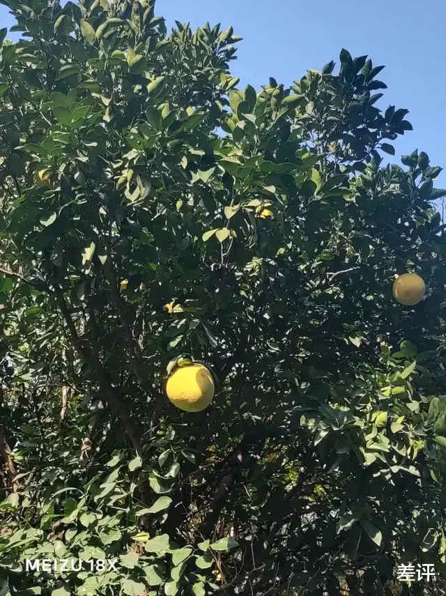 魅族|玩了两天魅族18X的“禅”，我吐槽了三天