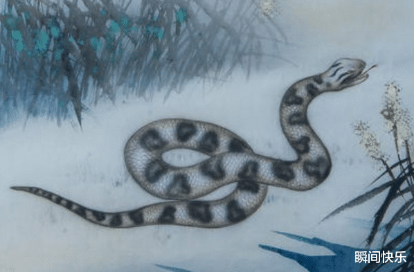 属蛇|属蛇的人生在几月，2021年步步高升，大器晚成，鲤跃龙门，职场顺遂