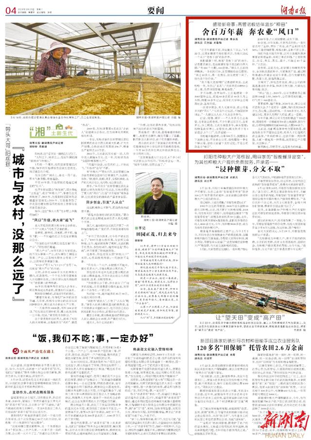 新湖南XHN 湖南日报   醴陵新奇事：高管老板结伴返乡“种田”