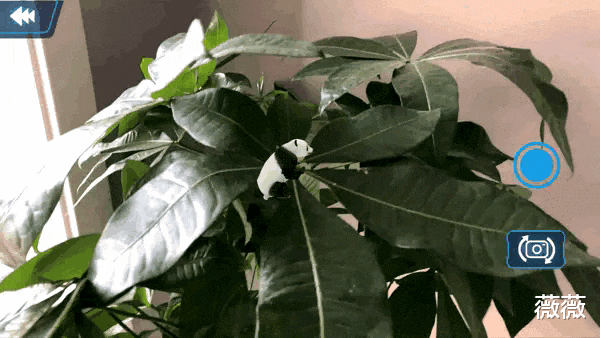 薇娅|薇娅？地球仪在薇娅直播间瞬间狂卖10万台！这就是中国北斗技术！