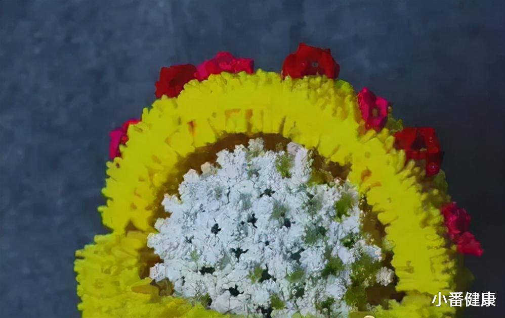 乙肝 乙肝美肝会前夕,先认识部分新靶点,以及主要作用机理