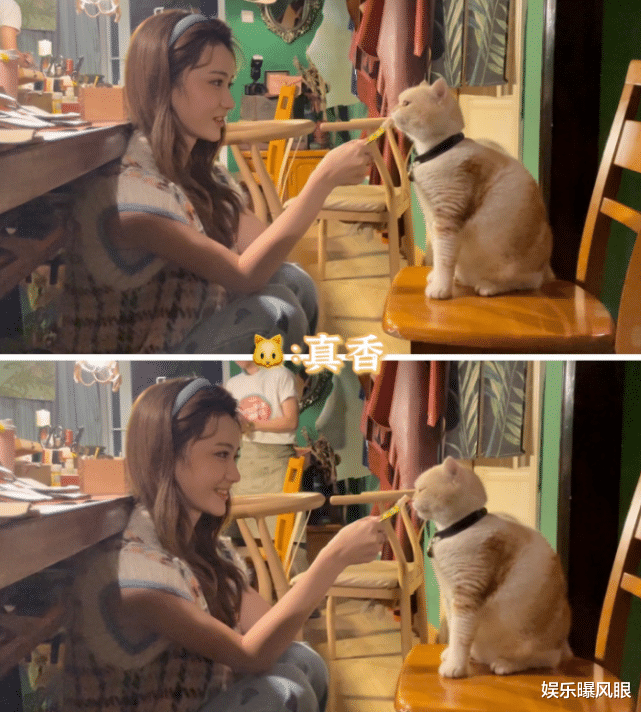 心动4|《心动4》洪成成否认当网红、摆拍，称不敢发动态，生怕被扣帽子