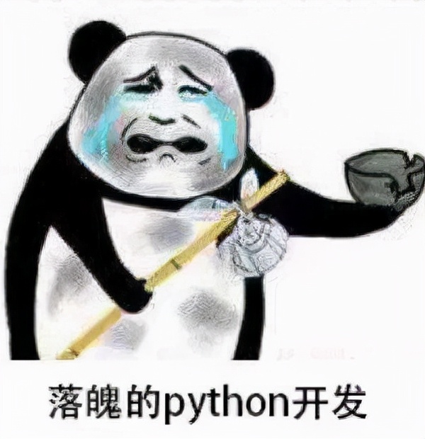 Python|都是零基础学编程,python、JAVA、前端,学哪个最好找工作?