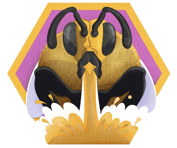 蜜蜂 蜜蜂是怎么酿蜜的？