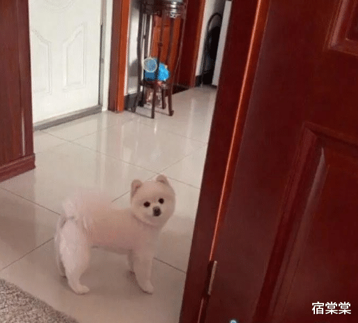 |?带表妹出来打球，请问她这个投球姿势正确吗？