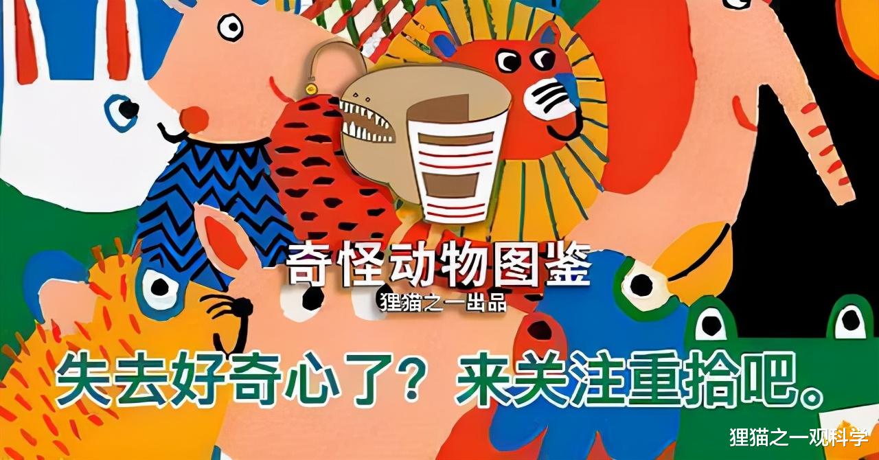 银黑狐|罕见银黑狐现身北京门头沟，如狗般乖巧，它们是如何被驯化的？