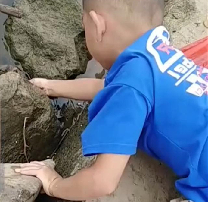 爸妈盒子|萌娃用手钓螃蟹，蟹钳夹手一边流泪一边装袋，场面令家长笑哭