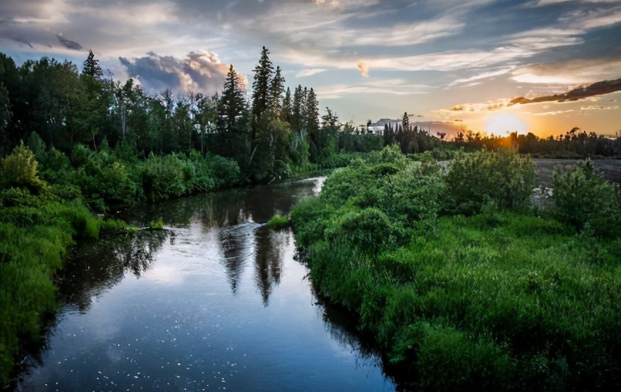 |夏天垂钓有鱼没口，没关系！老钓友教你5招要点分析——盛世三渔