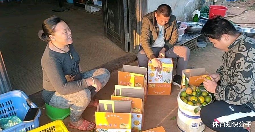 全红婵|幸福一家人！全红婵哥哥和爸妈一起装橙子，全爸认真全妈笑得开心