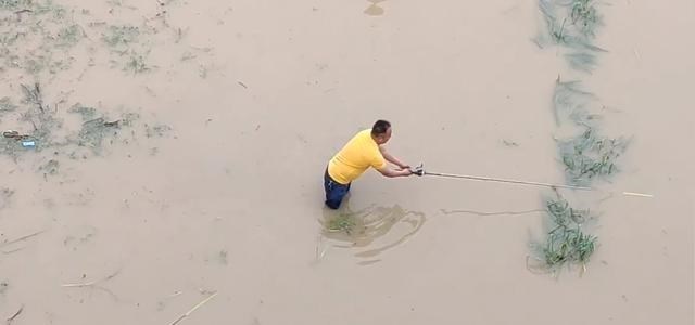 安徽|安徽一河道鱼儿大爆发,有人一天钓起数百斤,网友们见后怒了