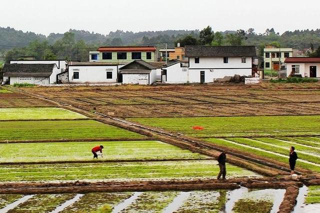 农谊万家 农村土地承包权的流转需要哪些条件？农村土地流转要三思而后行