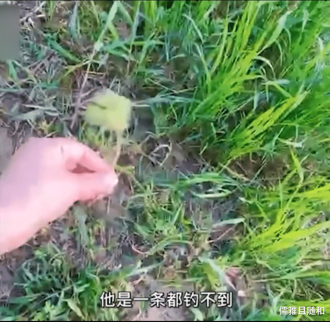 |男子为了钓鱼,直接扮成了外星人,就连媳妇都看不下去了!