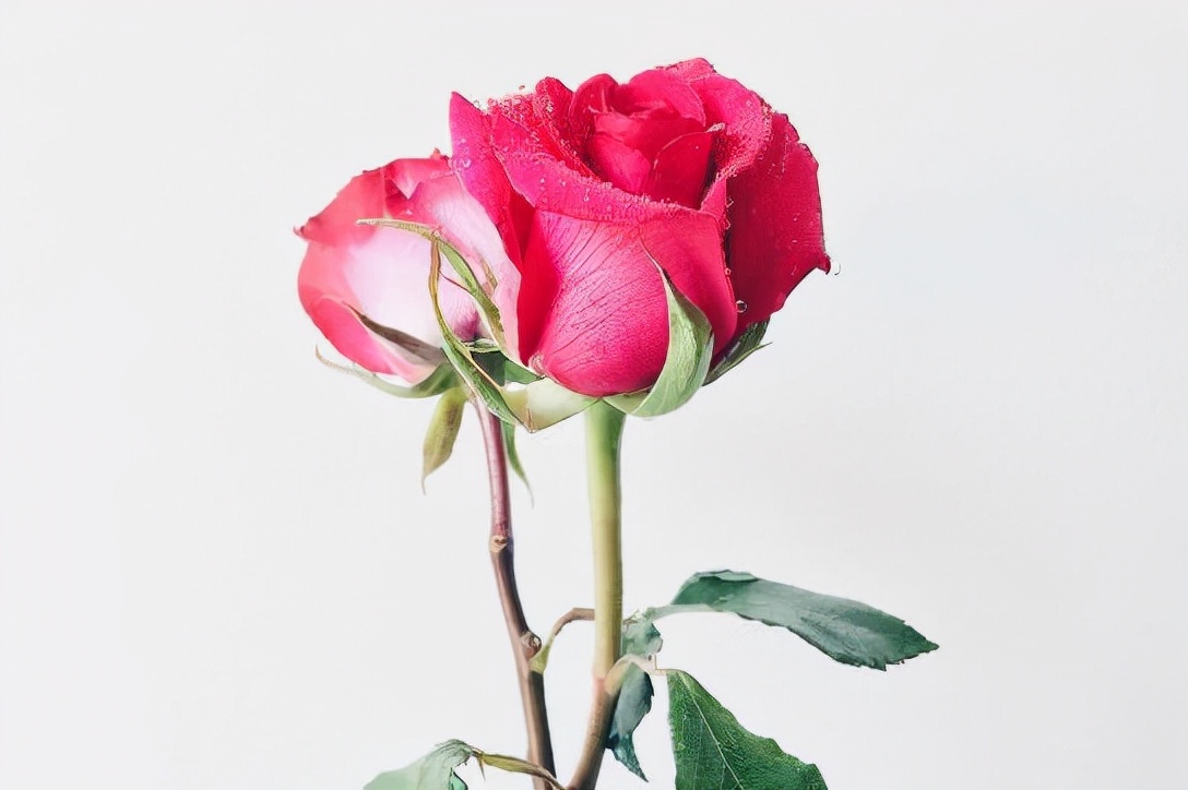 铜川|年过四十的女人要明白,爱自己,往往从做好三件事开始