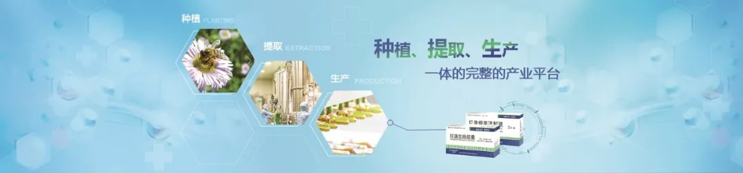 抑制慢性病的中成药“小巨人”生物谷