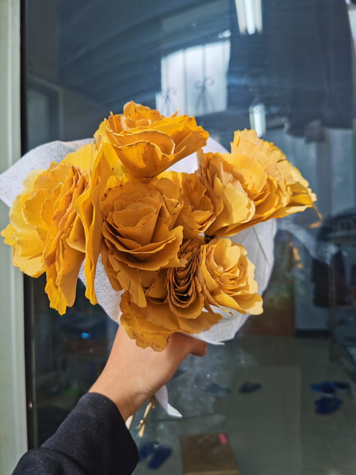 花百科|植物中的“活化石”，秋天一到满树“黄金”，养一盆吉祥喜庆