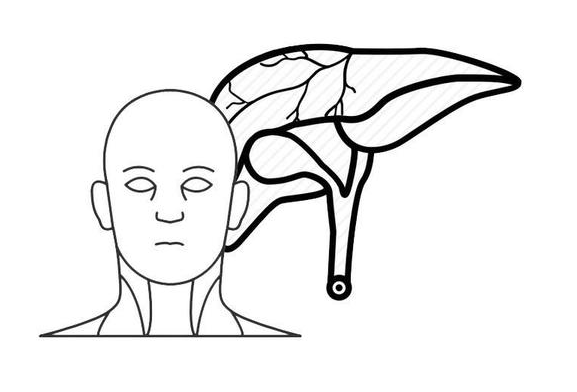 肝癌|体内有癌,肩膀第一个知道?肩膀出现这种迹象,最好去医院查肝CT