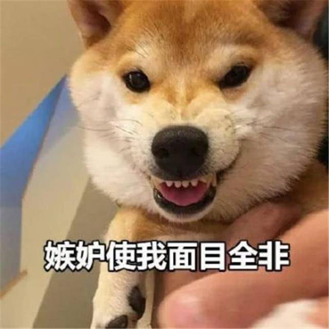 刘青|事业爱情双低谷，慕晚晴再对刘青起疑心