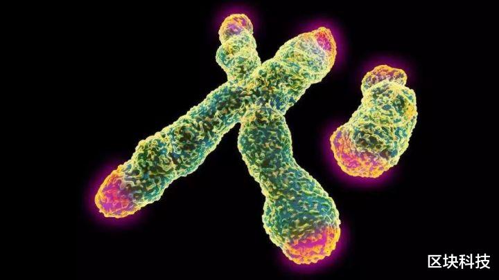 基因 无限增殖的海拉细胞背后，或许隐藏着人类永生的秘密