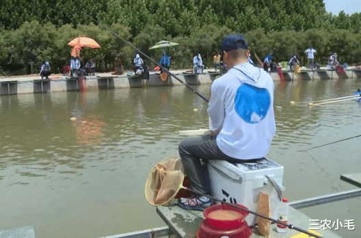 长江|备受钓鱼人青睐的“鱼王”，味道鲜美却凶悍无比，运气好才能钓到