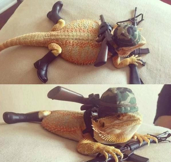 五菱|中国最好的女子双人跳水搭档是谁？网友：当然是婆婆和媳妇了、她们经常同时掉进水里