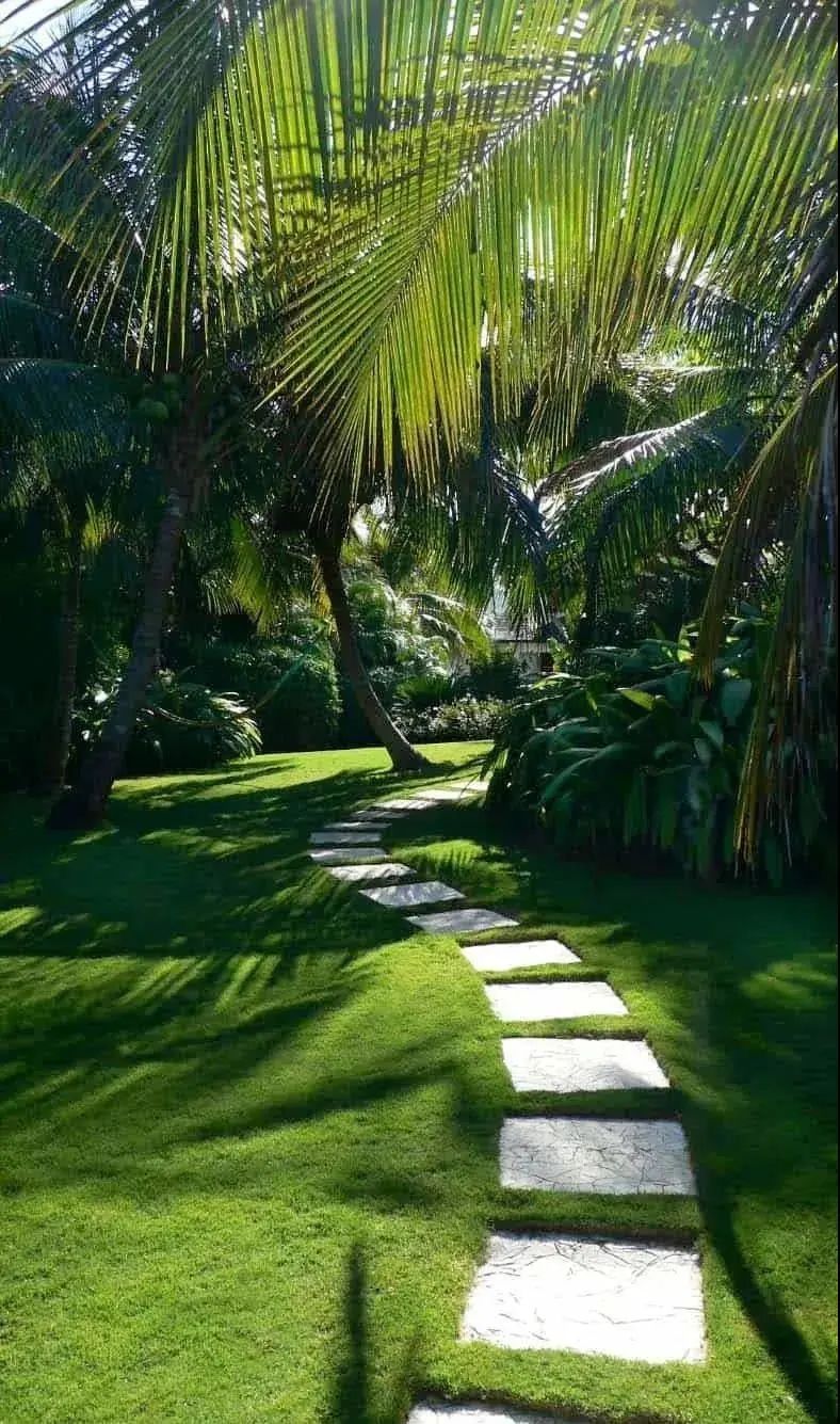 粉色|花园小径怎么设计，这20个案例带你感受一步一风景 ，一景一陶然