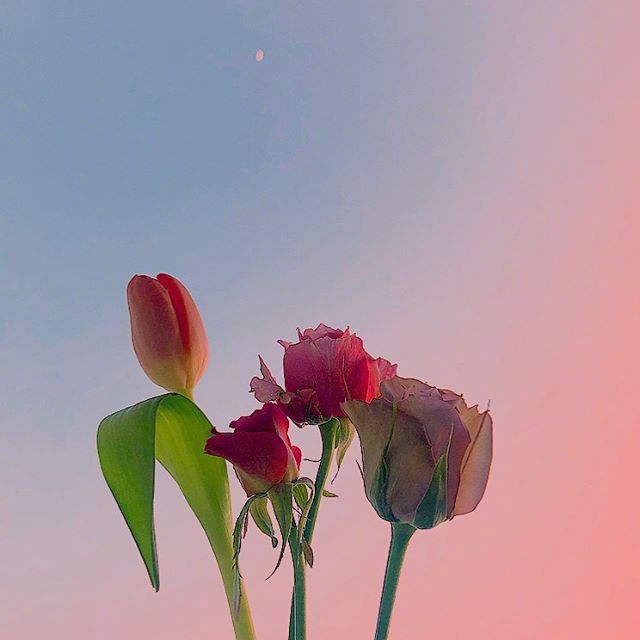 焦作 朋友圈很唯美的早安说说，句句有感而发！