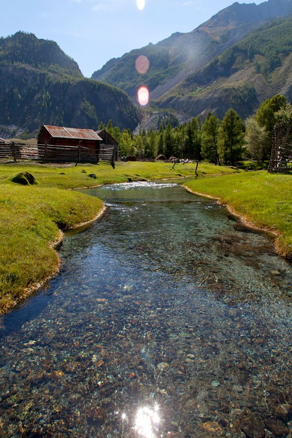 饵料|欲钓鱼先诱鱼，掌握快速诱鱼方法（不错）