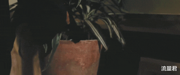 黑帮电影|10部血腥暴力的黑帮电影，过瘾！