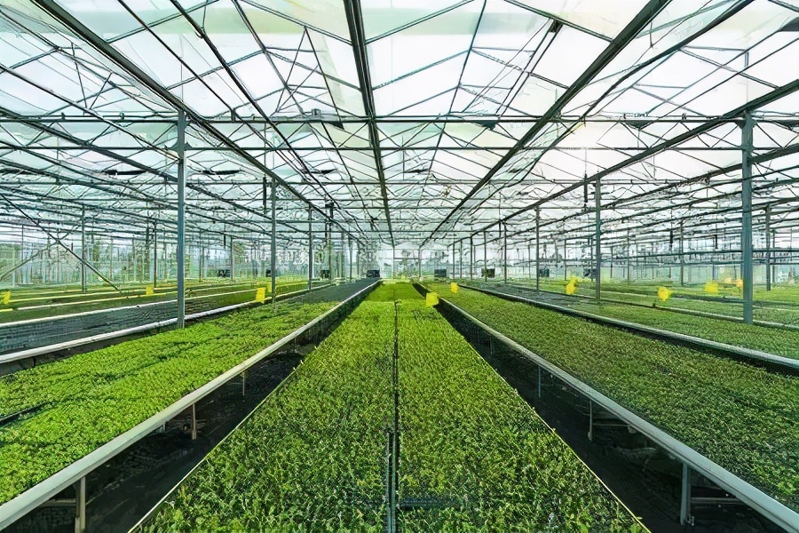 百谷网销 广西将新建150个现代特色农业示范区