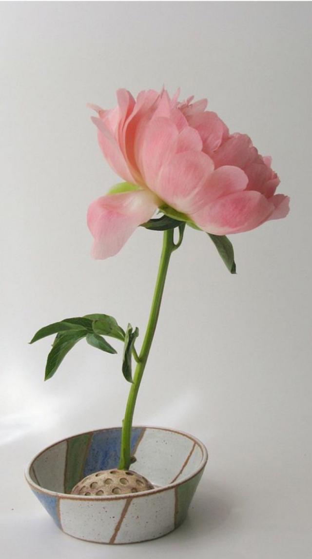 |正能量震撼人心的句子，句句蕴含深意，让人深思