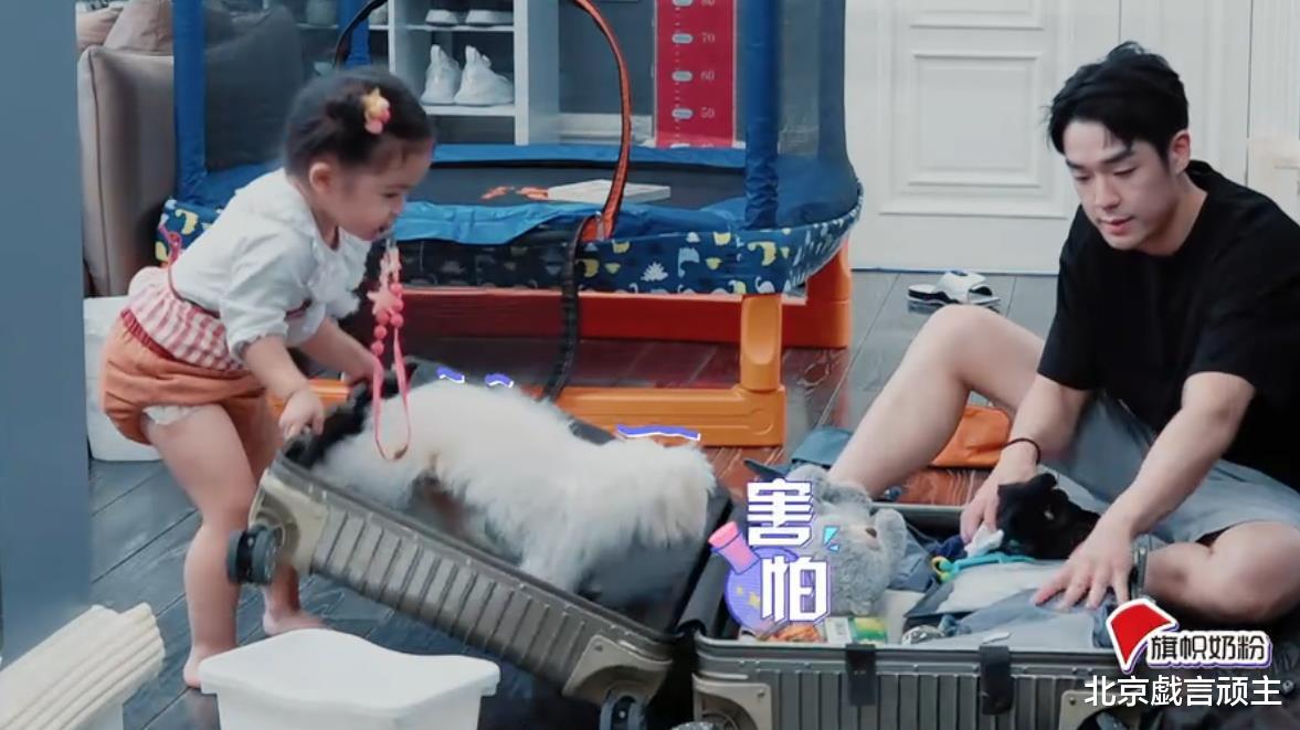 王耀庆|《我的小尾巴》王耀庆上演凡尔赛，安安甜度爆棚，萌翻全网观众！