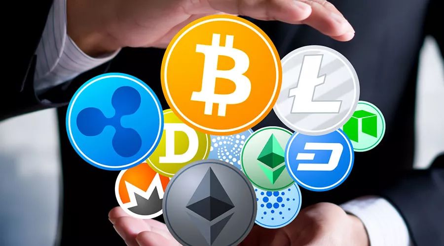 植物 加密货币市场复苏？比特币价格升至两个多月以来的新高