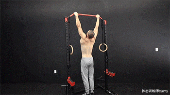 俯卧撑|4个经典徒手动作，在家就能练遍全身每一块肌肉！