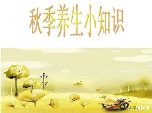 运动|秋季养生知识大全