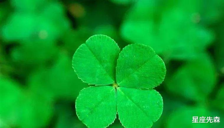 摩羯座|2022年一整年都会顺心如意的四大生肖