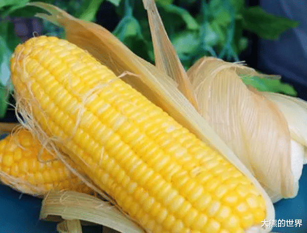 玉米|玉米吃不完难储存？别直接冻，教你一招，久放也软糯鲜甜，真实用